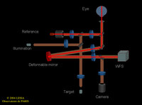 Voie analyse