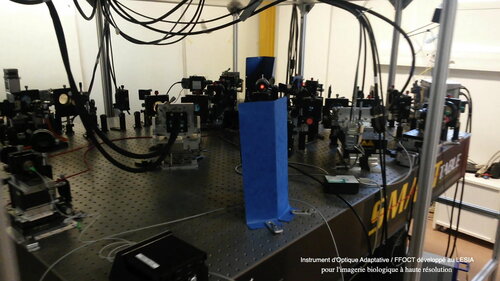 Instrument d'Optique Adaptative FFOCT développé au LESIA pour l'imagerie (...)