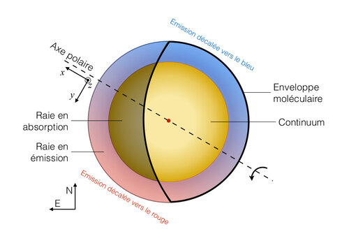 Schéma de l'émission du gaz entourant Bételgeuse et de sa rotation.