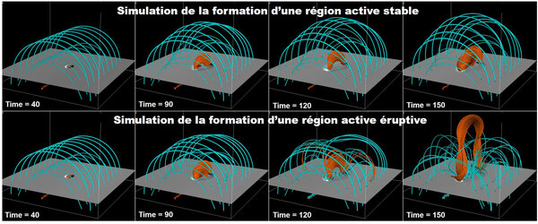 Evolution du champ magnétique dans deux simulations de formation de région (...)